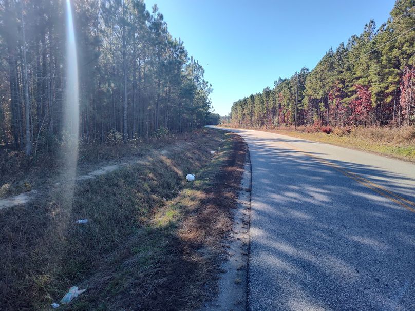 IMG_20231119_141803117_HDR