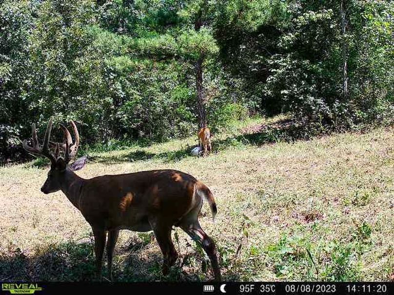 868032068170061-100-2-08082023141120-W1000095