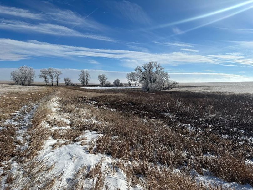 FC0C5689-5ECB-45FC-88F5-B6F8A0F9BDE0_1_105_c