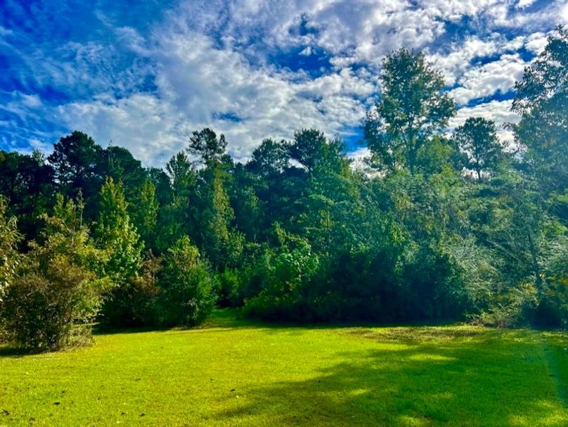 14540631-0EB4-4048-BD09-829B1400E1D2_1_105_c