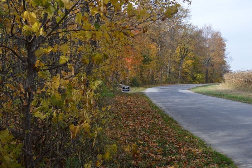 frontage on Portage Rd