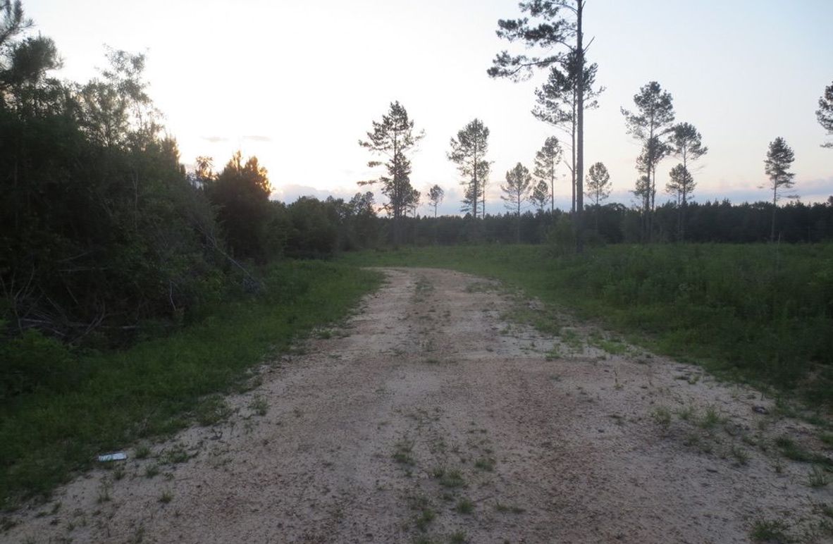 1E355C0B-7EB9-46D0-AADD-85992A9D4C01_1_105_c