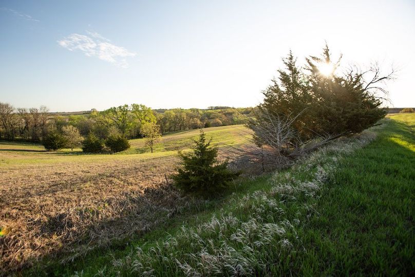 MONTGOMERY CO IA. 156.78_21
