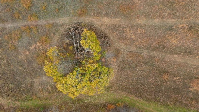 Livingston MO 130 Pro Photo-98