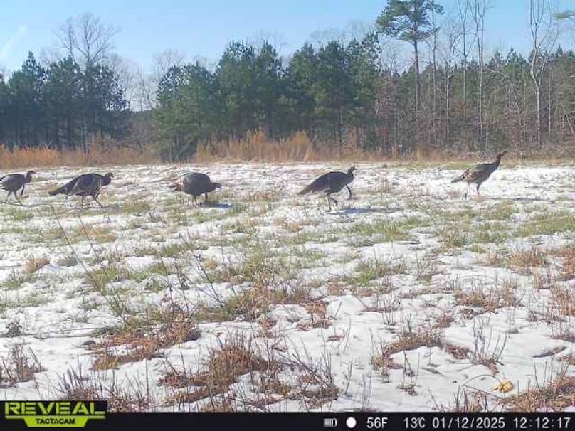 862515041600028-70-5-01122025121218-W1000723