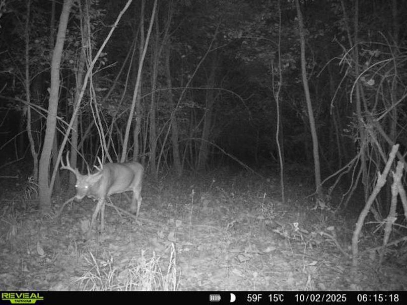 860516067504427-60-2-10022025061518-V-W1001969