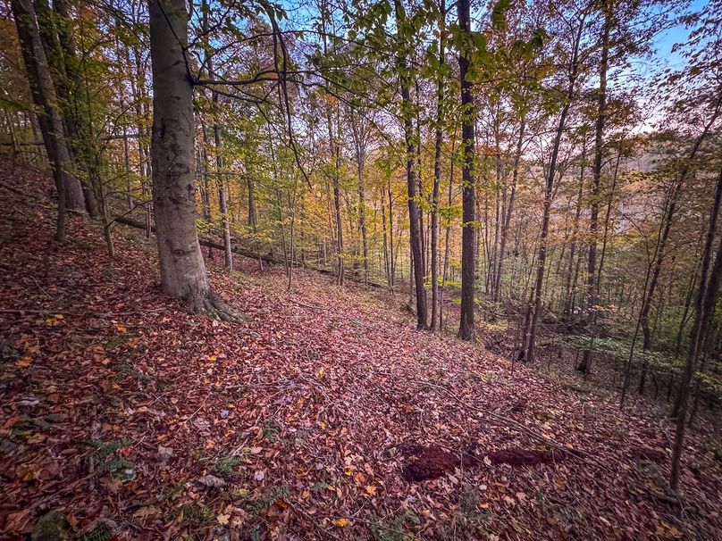 Wirt, WV 43 AC Berry-08