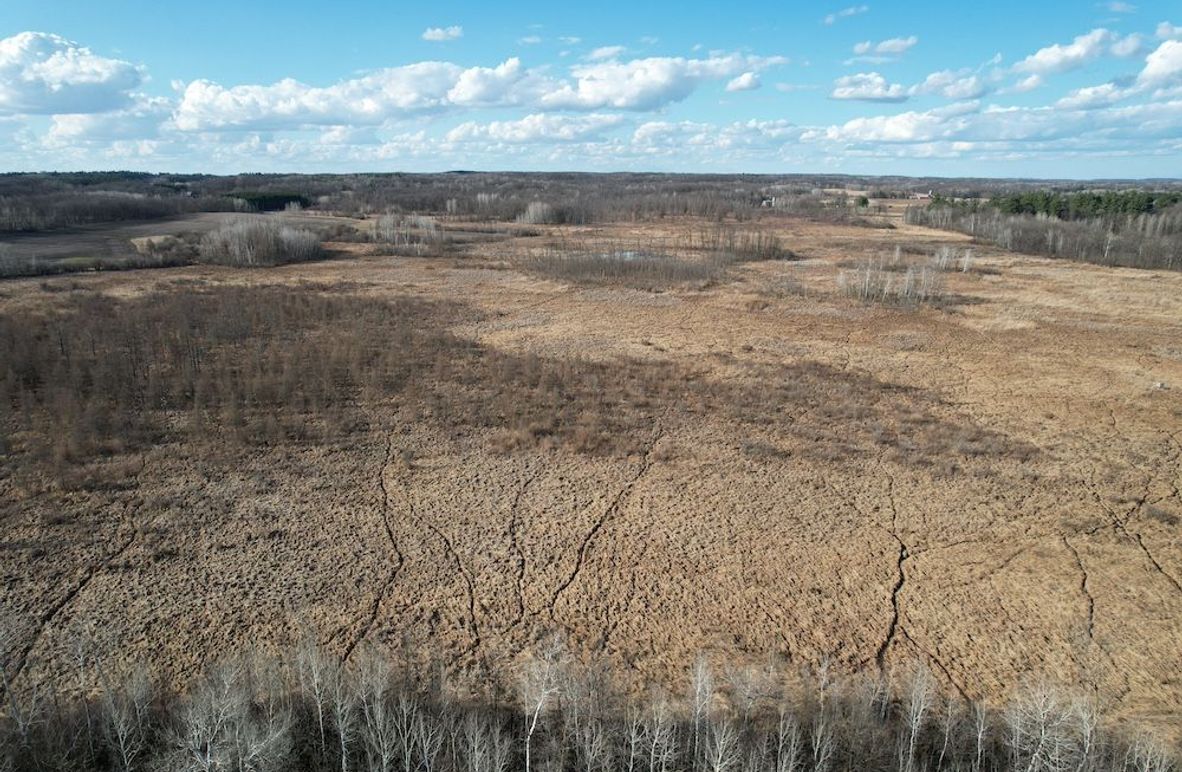 dji_fly_20260415_174528_168_1776293457753_photo