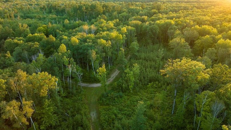 Cass MN 1095 Featured ProPhoto-111