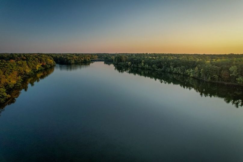 Wood 0.32, Ponce -41