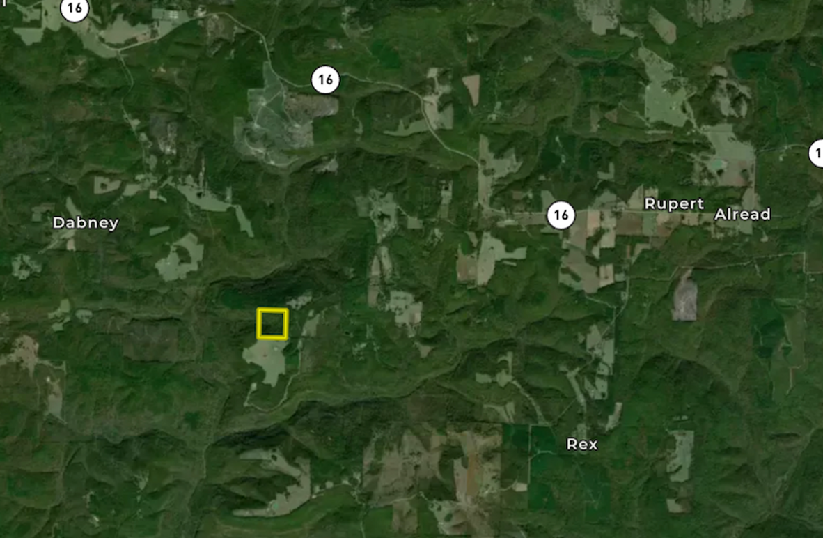 Screenshot 2026-02-22 at 3.50.38 PM