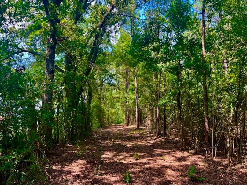 5DE5A324-B2F0-4CB0-A822-BF86C1F32941_1_105_c