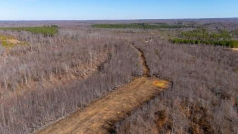 mckinnon tract 14-20