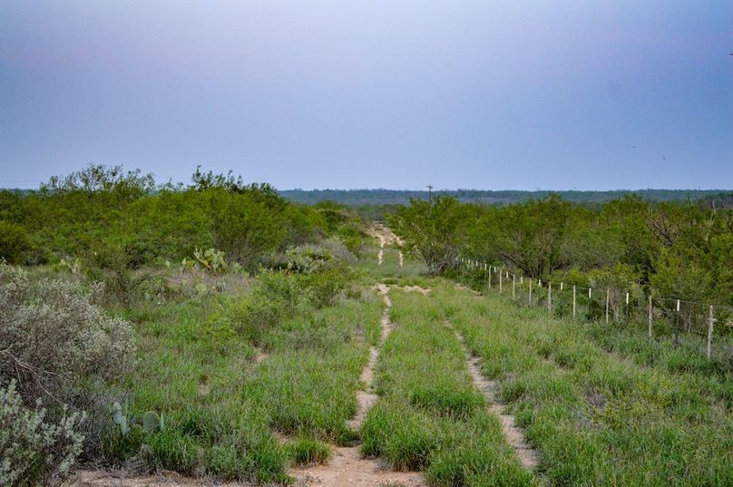 DSC_1003