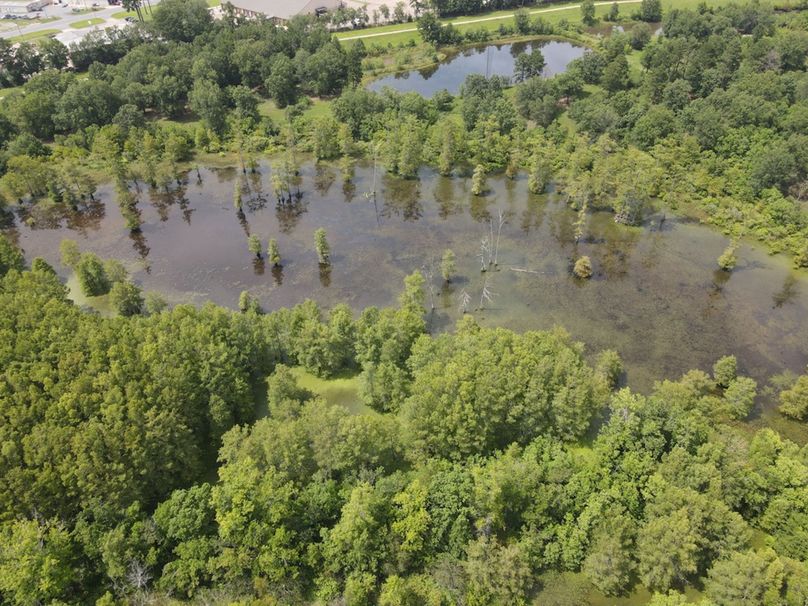 6513A745-D369-442F-A5C6-3BE8A41659CB_1_105_c