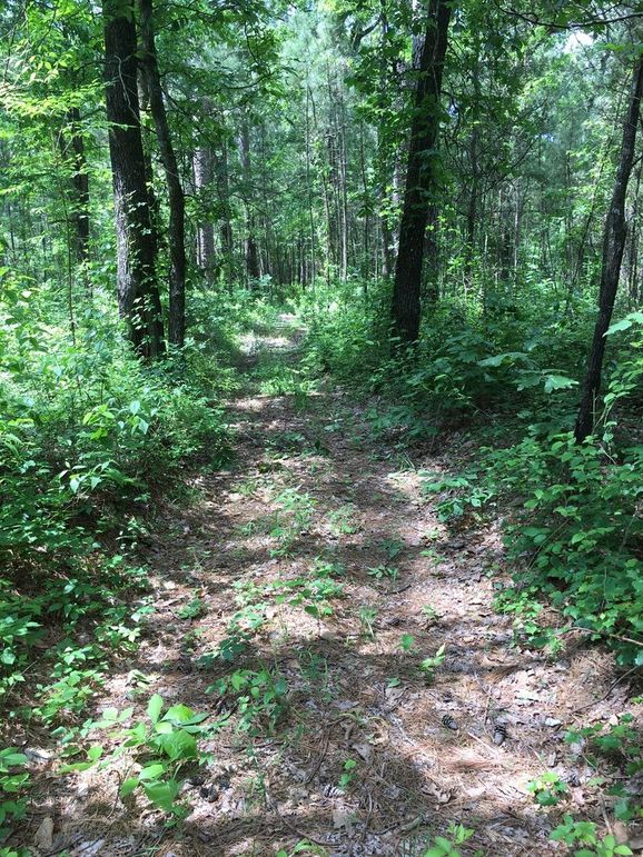 3124A122-245A-4A41-A680-DD56FE73285E_1_105_c