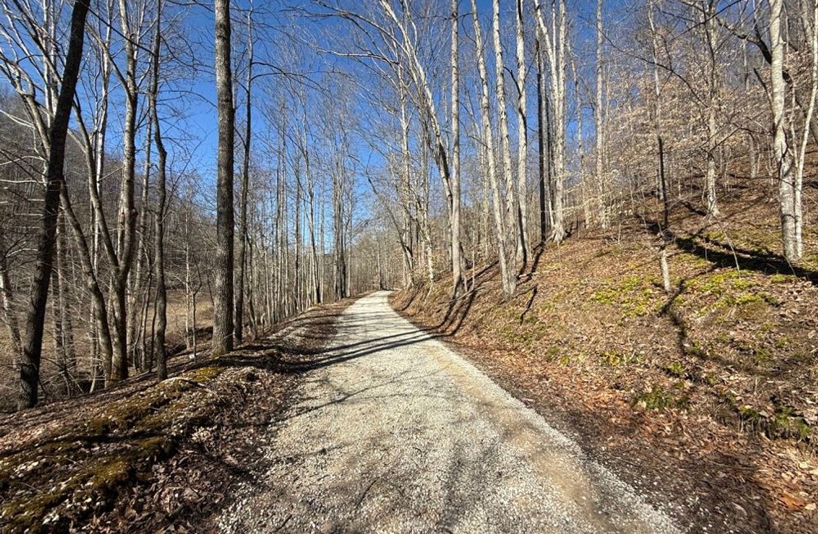 004 Trent Fork County gravel road in the south part of the property