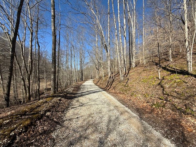 004 Trent Fork County gravel road in the south part of the property