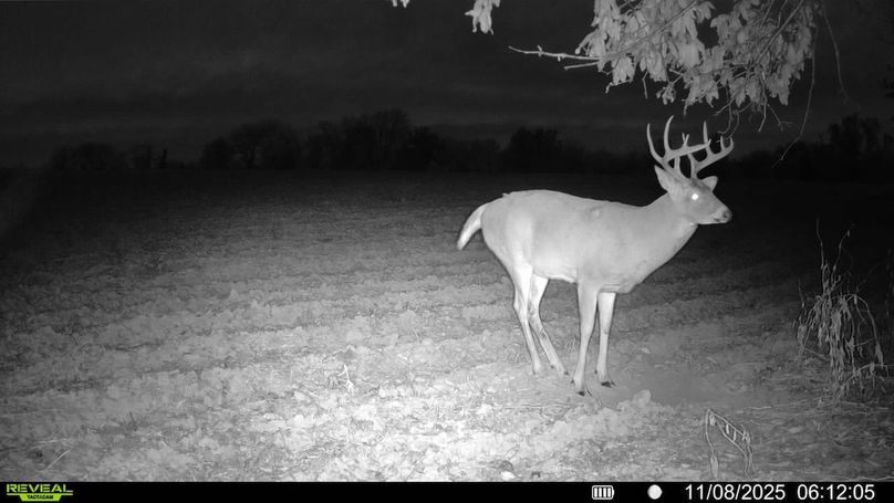 016579007487973-88-4-11082025061205-SYFW02143