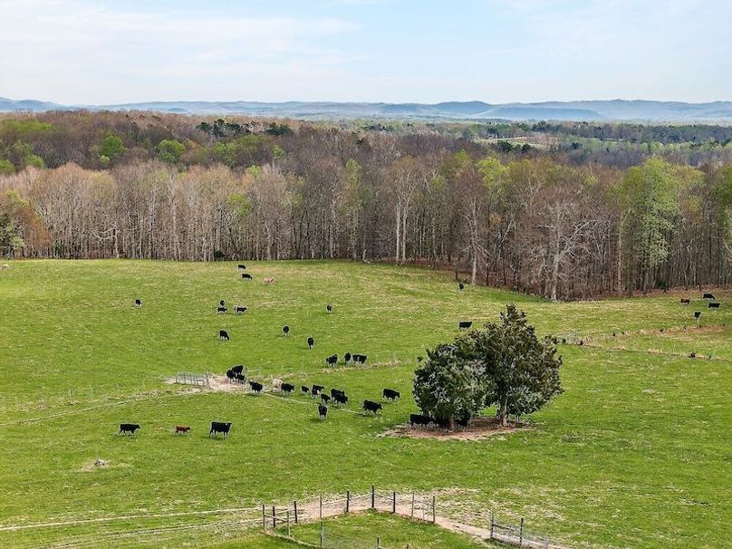 DJI_20260331142709_0059_D