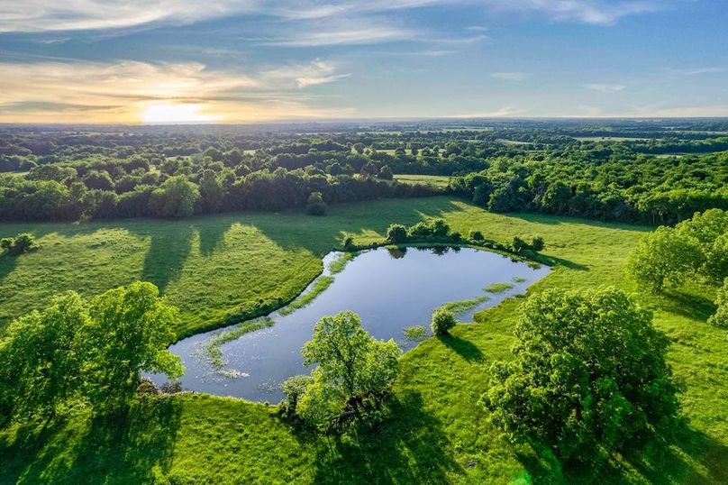 Fannin County- 134.4 acres-31
