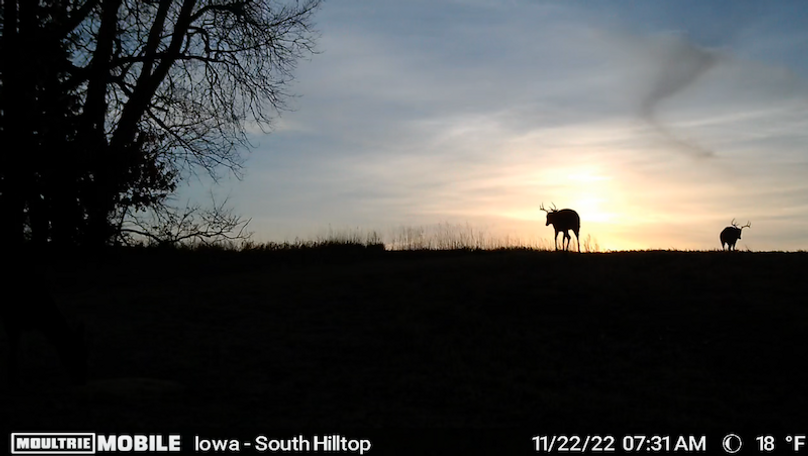 Screen Shot 2024-02-05 at 3.20.09 PM