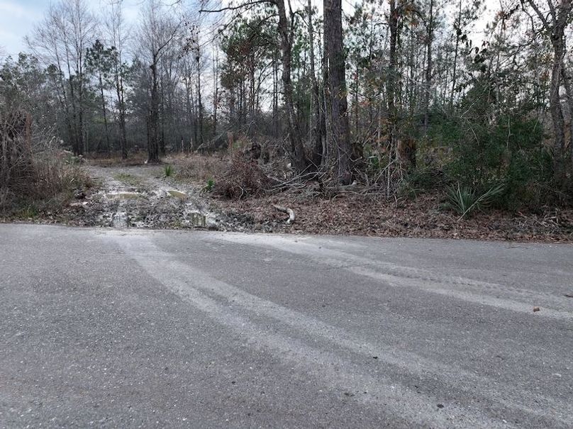 dji_fly_20260212_135830_0038_1771284250611_photo