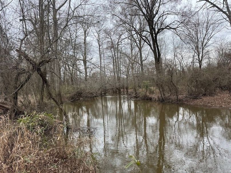 311 new20260217_0484