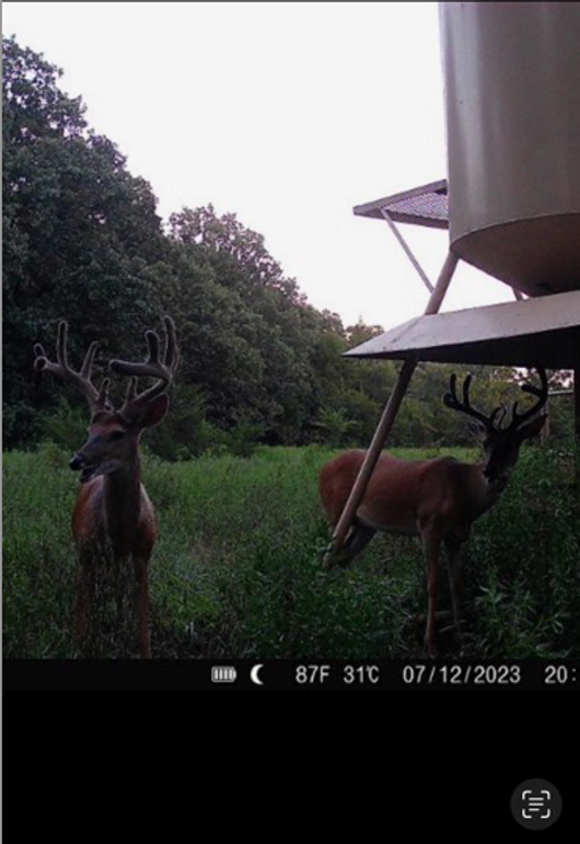 Screen Shot 2023-12-21 at 2.12.44 PM