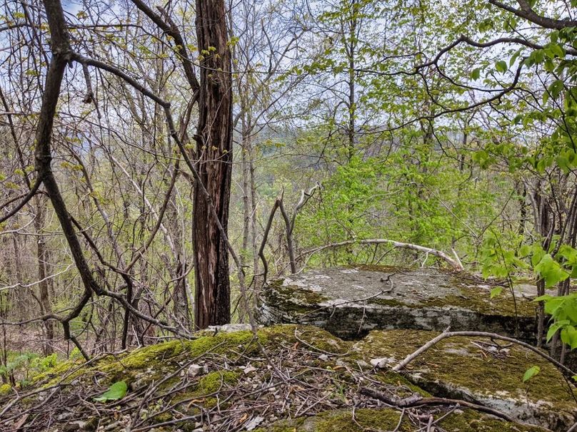 016 sitting atop some rock out croppings-2