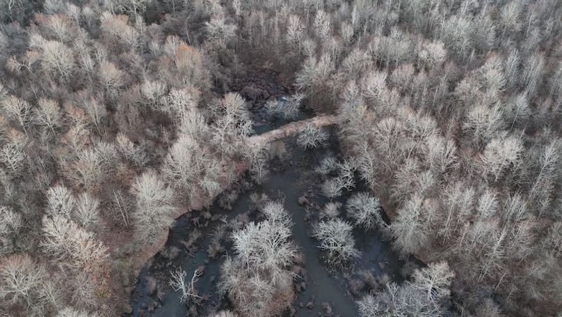 311 new20260217_0460