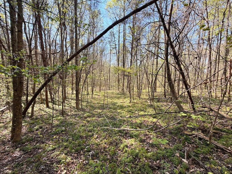 Monroe Co TN 44.66 Bolton_090