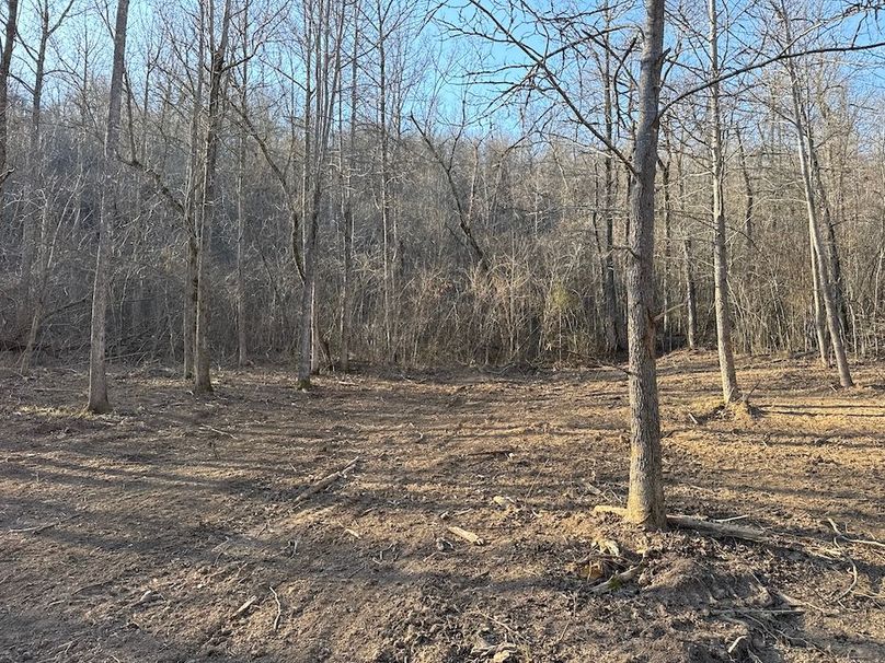 DJI_20260113_145137_851