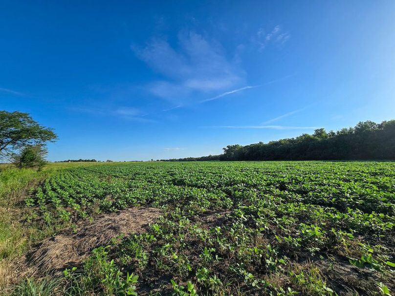 Copy of 20250729_080956