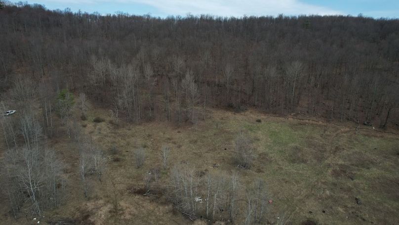 dji_fly_20260330_113210_233_1774884948461_photo