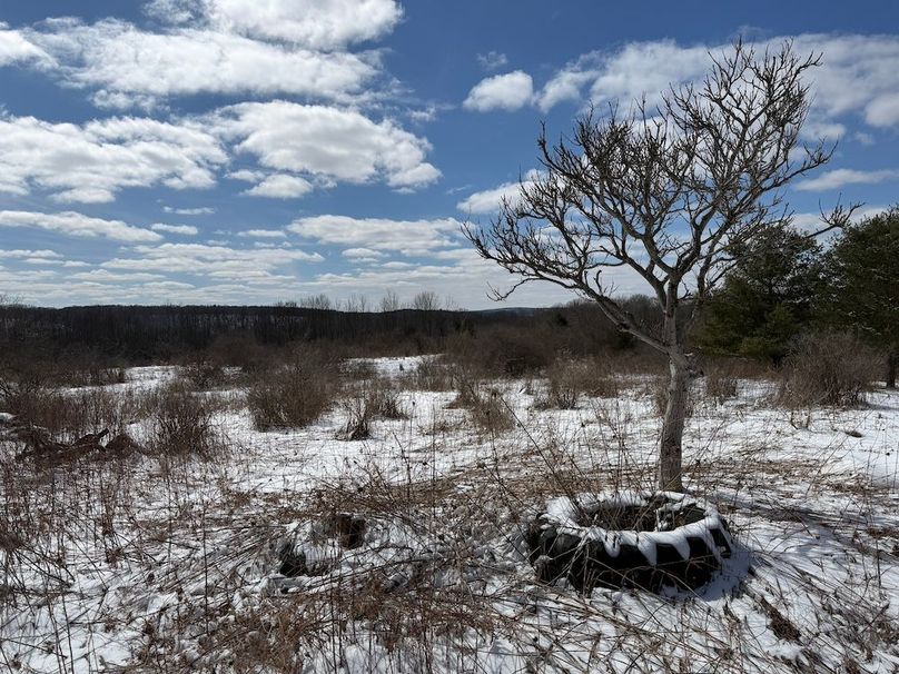 Chemung_43.23_Lippincott Photo 34