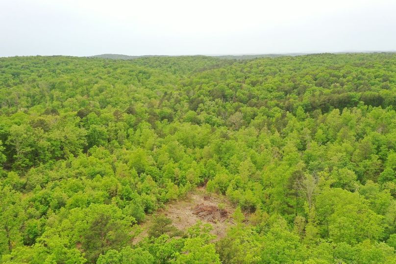 DJI_0793
