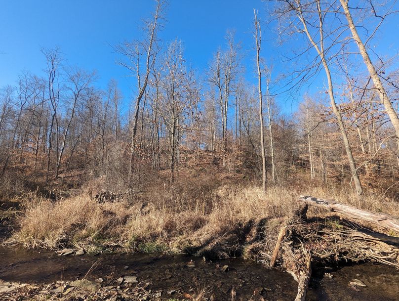 PXL_20231215_171640431