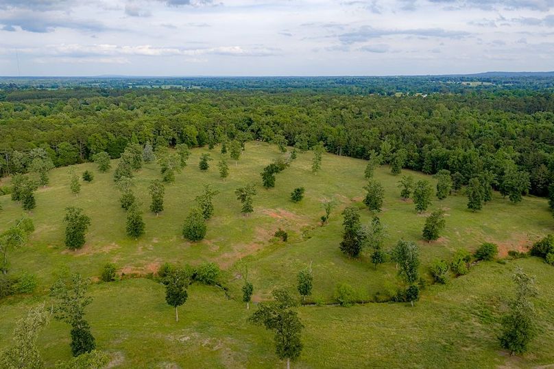 Holman Ranch-47