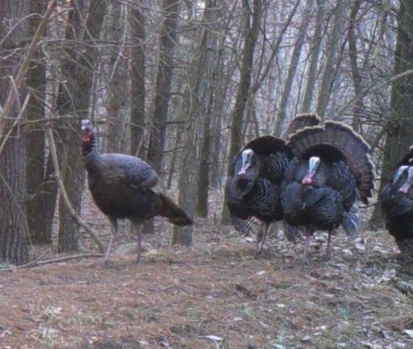 Screenshot_20240823_162350_Gallery