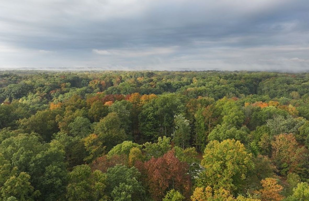 dji_fly_20240925_084200_0465_1727268781040_photo