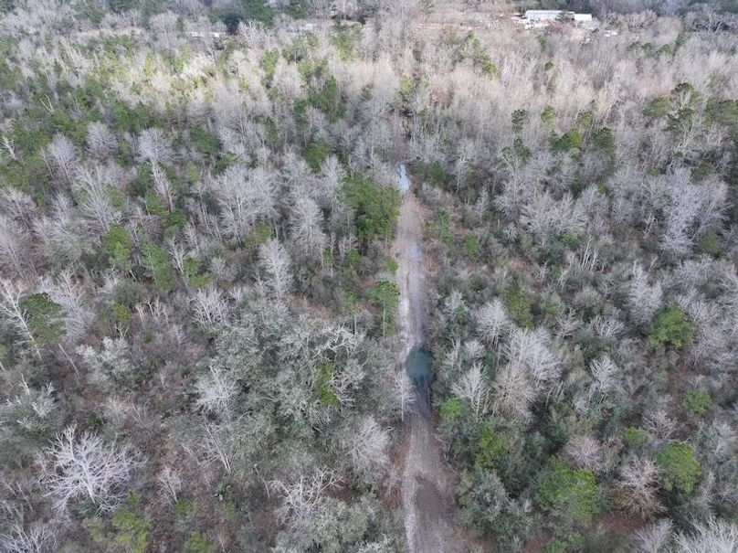 dji_fly_20260212_140212_0048_1771284245893_photo