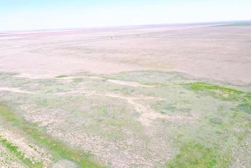 DJI_0668