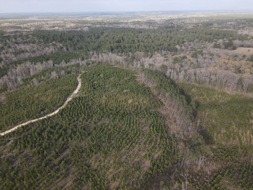 DJI_0088