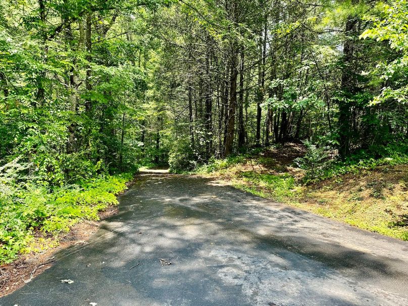 Basement Rancher On Acreage In Walland, TN Whitetail Properties