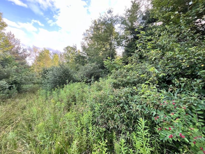 Chemung_78.26+Gutchess_Lumber_Photos_25