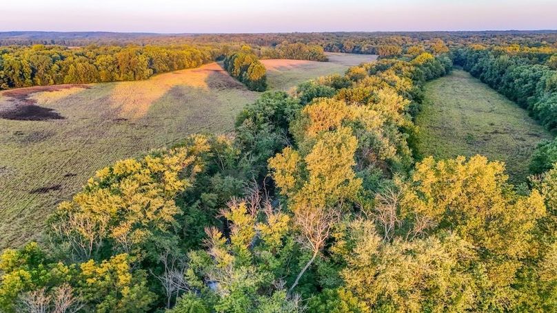 DJI_20251006065416_0122_D