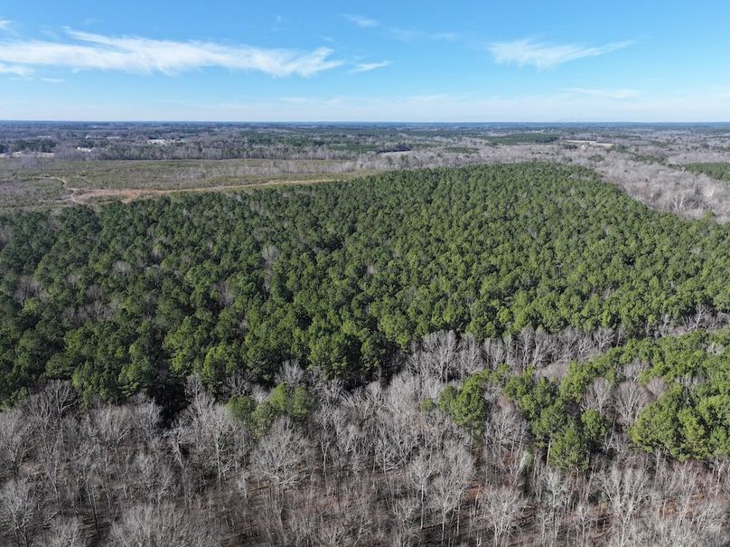 DJI_20260101140935_0288_D