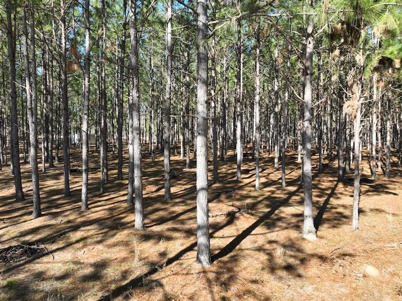 dji_fly_20240207_104320_62_1707320782961_photo