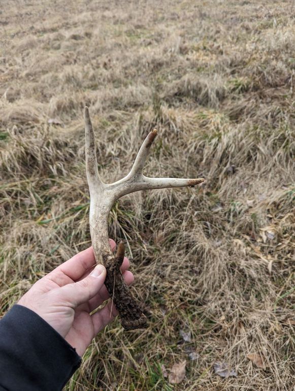 PXL_20240131_165451439